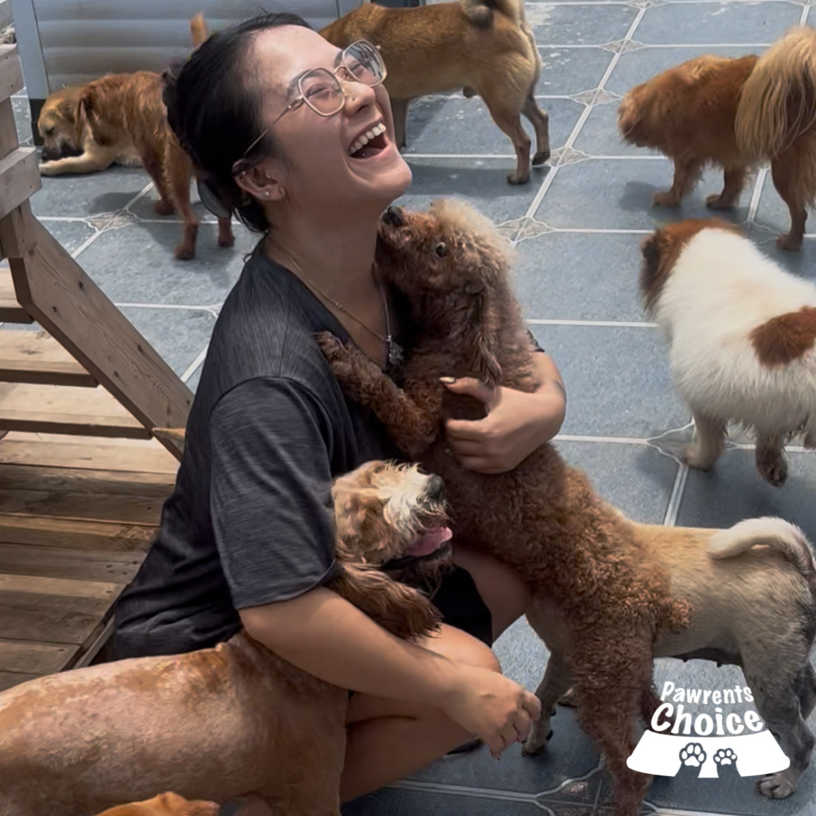Khoảnh khắc vui vẻ bên các bé chó tại Sân Nhà Nhiều Chó