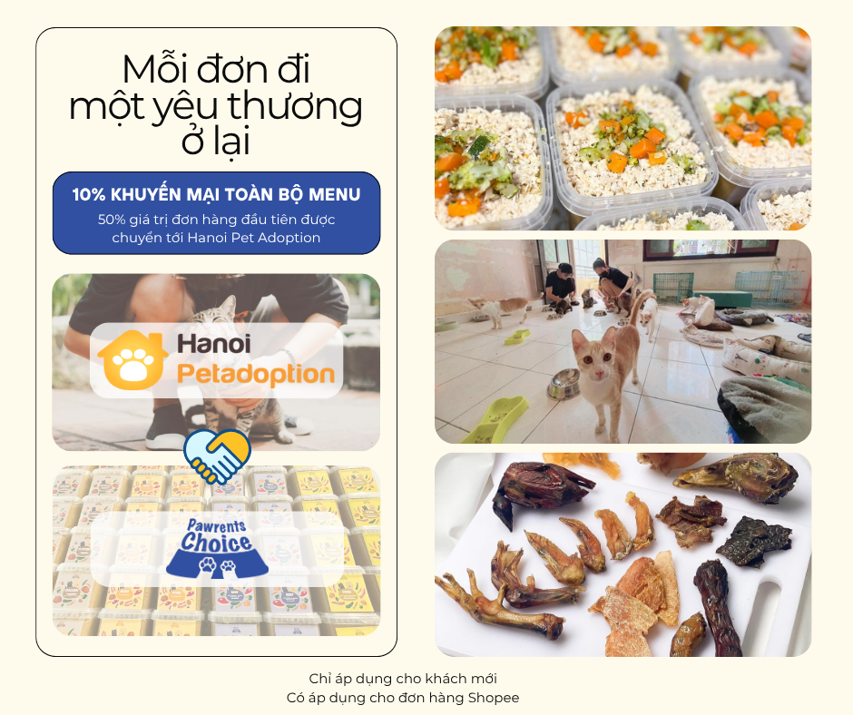 Chương trình Mỗi đơn đi, một yêu thương ở lại cùng Hanoi Pet Adoption